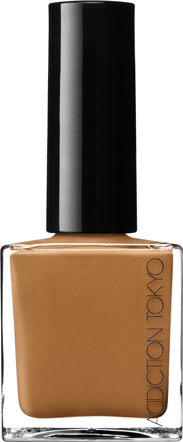 THE NAIL POLISH +