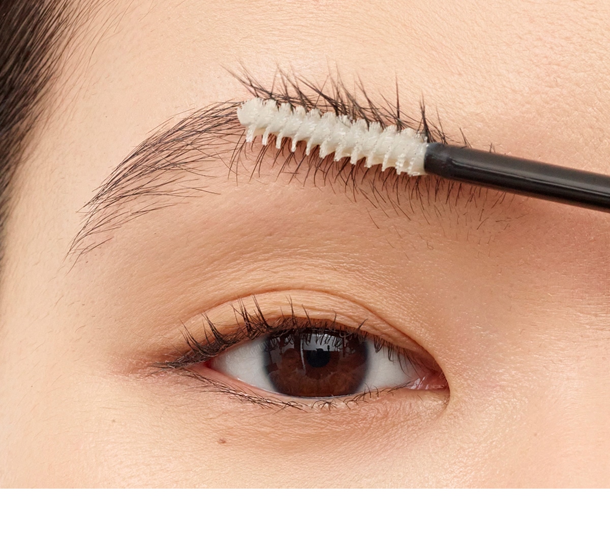 Feather Brow 1