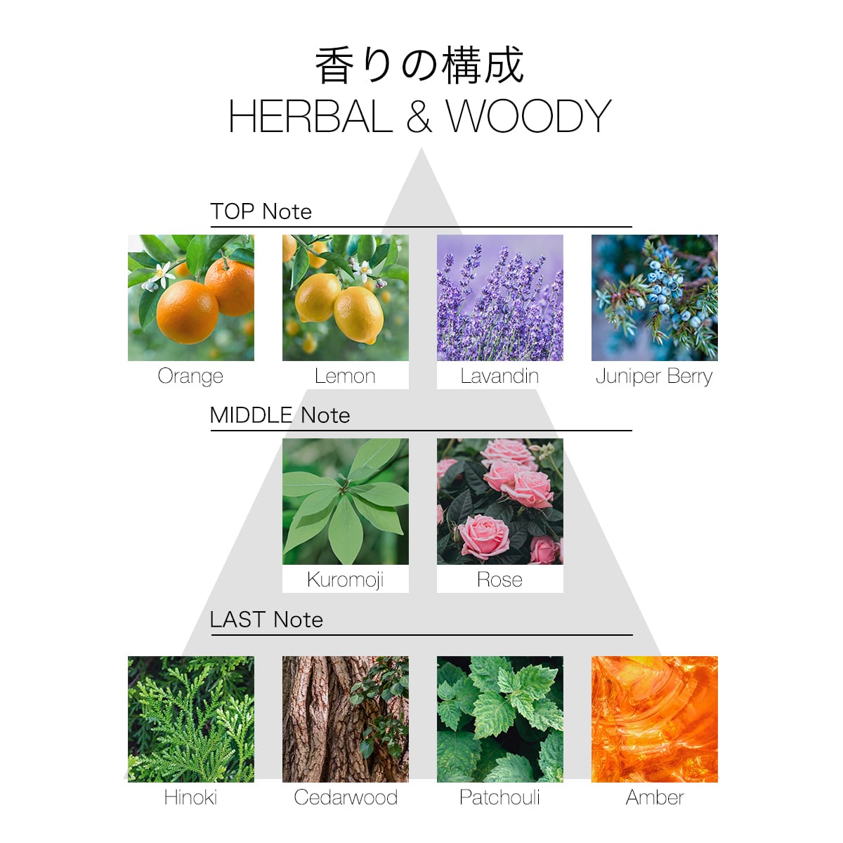 GIFT BOX　〈ネイルオイル＆トップコート〉