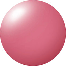 06 Tadzio タッジオ ★オンライン限定