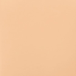 009S Polished Nude (S) ポリッシュド ヌード ★オンライン限定