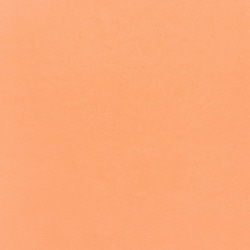 046S Peachy Melt ピーチメルト